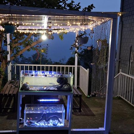 Aaravi Garden Homestay カリンポン エクステリア 写真
