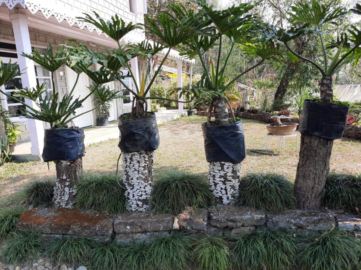 Aaravi Garden Homestay カリンポン エクステリア 写真