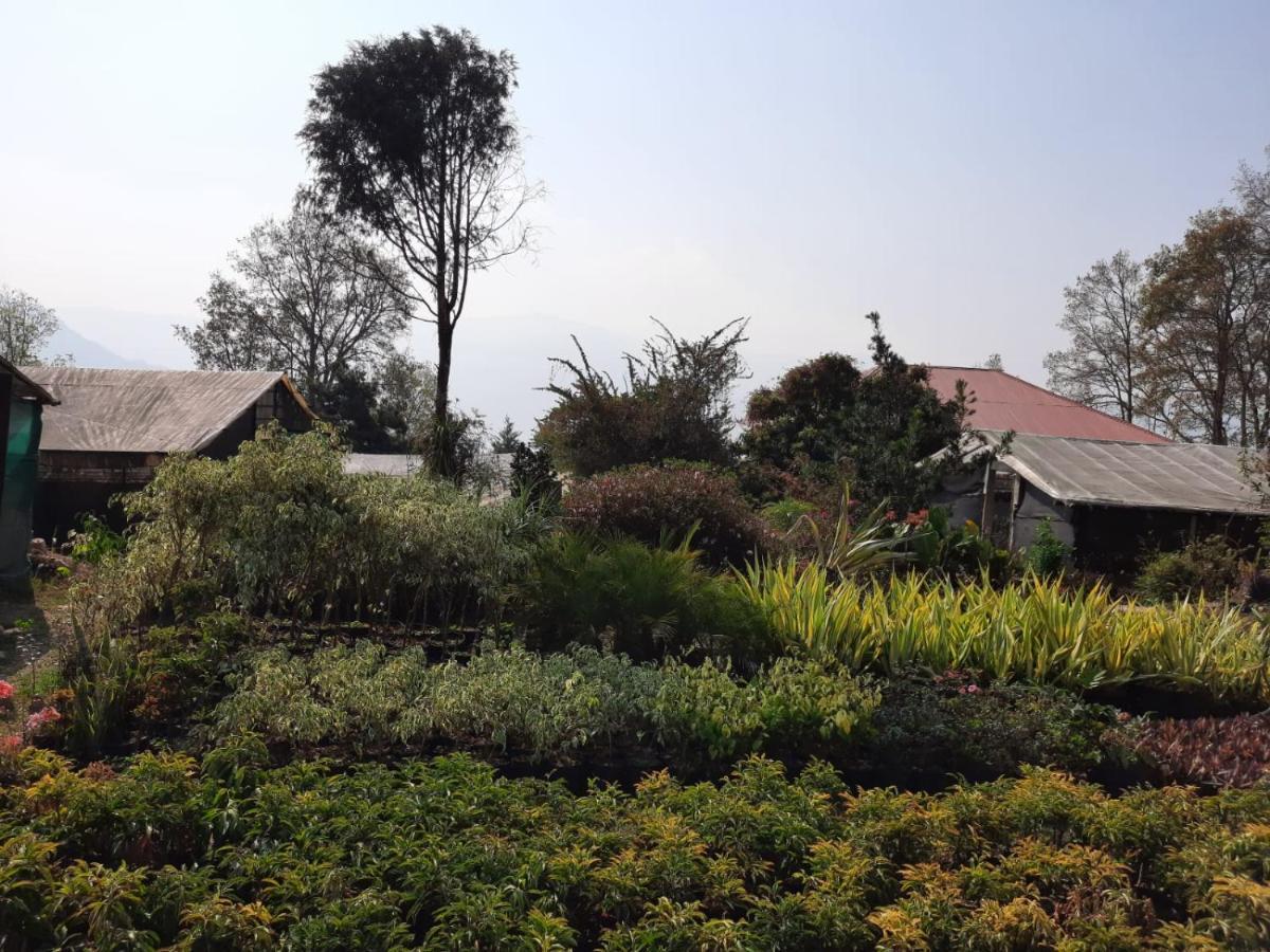 Aaravi Garden Homestay カリンポン エクステリア 写真